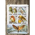CENTRAL AFRICA 2016 SHEET MNH KINGFISHERS BIRDS...