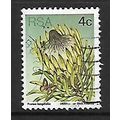 SOUTH AFRICA 1977 SUCCULENTS 4c P LONGI FOLIA S...