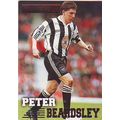 Merlin Premier Gold English Premier League 1996...