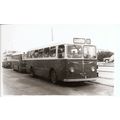 Black & White Photo of Silcox Motor Coach Co. L...