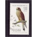 POLAND 1975 SG2342 1Z FEMALE LESSER KESTREL FIN...