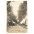 1906 postcard Seurre, Avenue de la Gare
