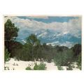 SEFFELS RANGE, CLORADO ,unused vintage postcard #