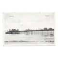 NICE PRINTED POSTCARD OF PALACE PIER BRIGHTON S...