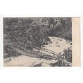 Cane Bridge Darjeeling Postcard India