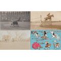 20x Blood Sport Fox Hunting Horse Racing Bull K...