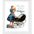 Pedigree Pram ADVERT - 1956 Cutting