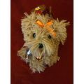 "THANKSGIVING MUSICAL FURRY DOG DANCES AND PLAY...