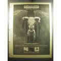1975 Eagles One of These Nights Album Ad - A ne...