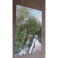 1908 fr Hartmann Postcard - Groudle Glen - Isle...
