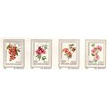 Papua New Guinea ASC 102-05 1966 Flowers, Mint ...