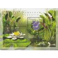 Aquatic Plants Of Malaysia 2002 Flower Nature P...