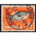 Singapore 1962 Fish 25c Used Stamp