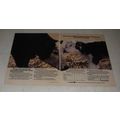 1987 Merck MSD-Agvet Ivomec Ad - What It Creates