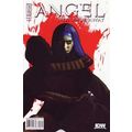 Angel: Not Fade Away (2009 Ltd) # 002 NM MODERN...