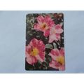 WEBBS GARDENING CARD /JAPENESE ROSES (12) (21/06)