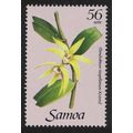 Samoa Orchid 'Dendrobium vaupelianum Kraenzl' 5...