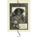 Summer Gone, Romantic Poetry, Book Illustration...