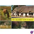 GB Postcard - The Beautiful New Forest, Hampshire