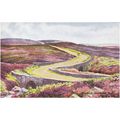 Ellerbeck, Goathland Moors Yorkshire Postcard (...