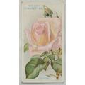 1926 Wills Roses No. 45 Ophelia