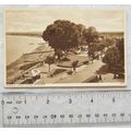 vintage Postcard Minehead, Jubille Gardens Prom...