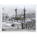 tr574 - Fishing Trawler - FR 319 - photo 8.5" x...