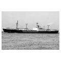 mc3120 - Bank Line Cargo Ship - Nairnbank - pho...