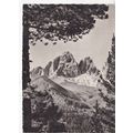 Langkofel Dolomites Italy Postcard unused VGC