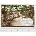 vintage postcard Best Wishes for Happy Birthday