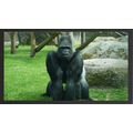 The Gorilla's Vigil A5 Black