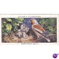 Players Birds & Their Young Card No. 19 Hawfinch