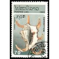 Laos 1993 Molluscs 70k Used Stamp Sea shells