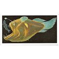 Incredible Creatures 1985 Brooke Bond Tea Card ...