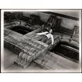 14 HOURS 1951 Henry Hathaway Richard Basehart 1...