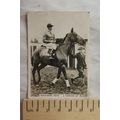 1938 Ardath Photocard - Prominent Steeplechaser...