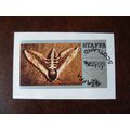 1974 Staffa Scotland Privet Hawk Moth 5Op used ...