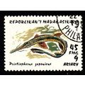 Madagascar 1993 Marine Life 45f Used Stamp Fish Shark