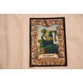 Salaman Rush Demon 1993 Merlin Battle Cards NO. 74