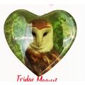 BARN OWL HEART SHAPED ACRYLIC FRIDGE MAGNET