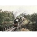 Railway Postcard GWR 4930 Hagley Hall EARDINGTO...
