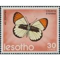 Lesotho 1973 Butterflies 30c Colons Evenina Unm...