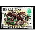 Bermuda 1978 Animal Lizard 15c Used Stamp . QE II