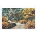 Where Twines the Path Trossachs Postcard J B White
