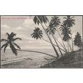 Moonlight on the Bambalapitiya Shore, Colombo, ...
