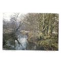 RIVER ELY, PETERSTON W.I. vintage postcard unus...