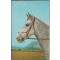 The Grey Horse, c.1970 - Salmon Postcard