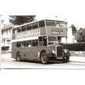 Black & White Photograph of Southern National O...