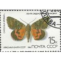 USSR, BUTTERFLY, Catacola Sponsa, white 1986, 15k