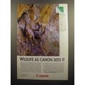 2008 Canon Photography Ad - Peninsular Bighorn ...